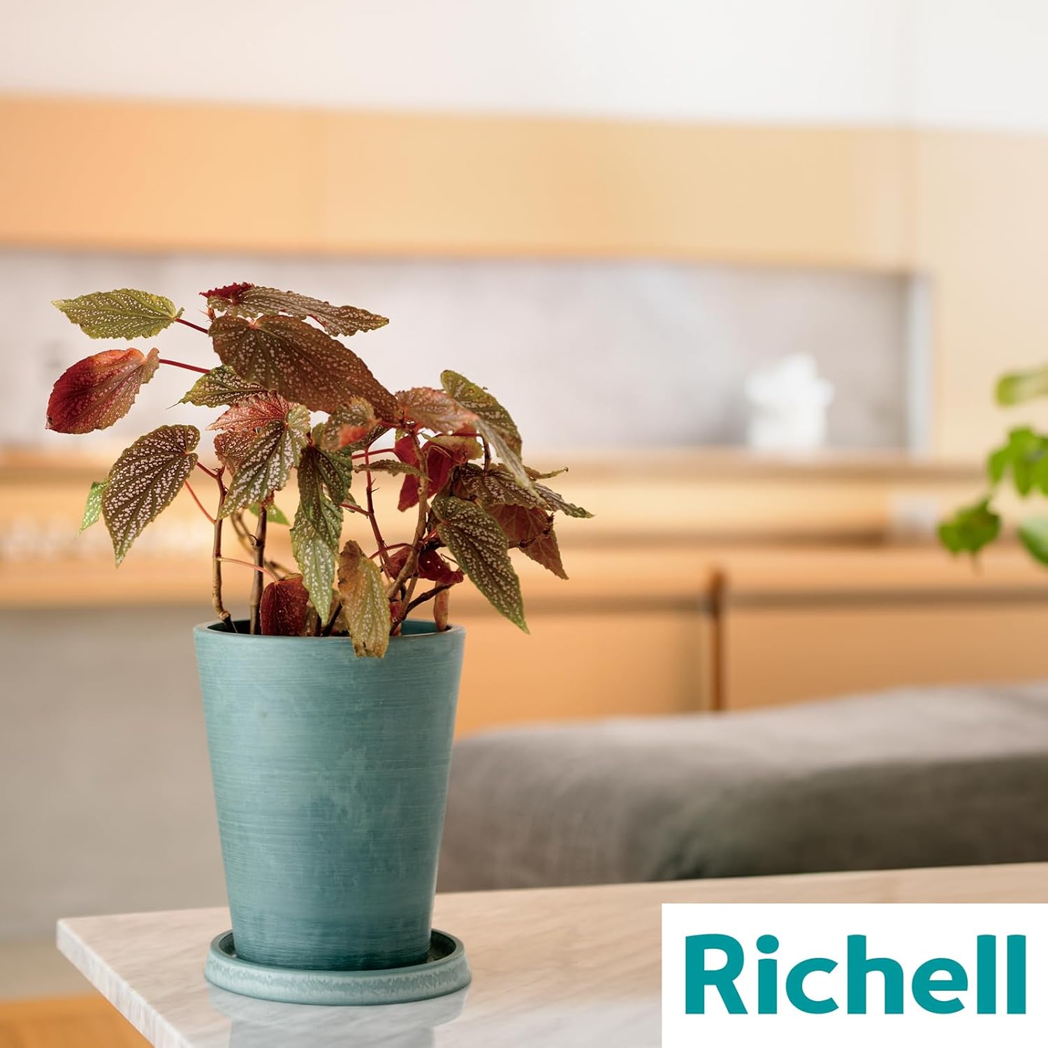 Richell 003288 Botany Planter, Tall Pot, 15 Shape, White, Set of 3, Vegetables, Stylish, Outdoor, Soil, Plants, Ornamentals, Plants, Plants, Bonsai