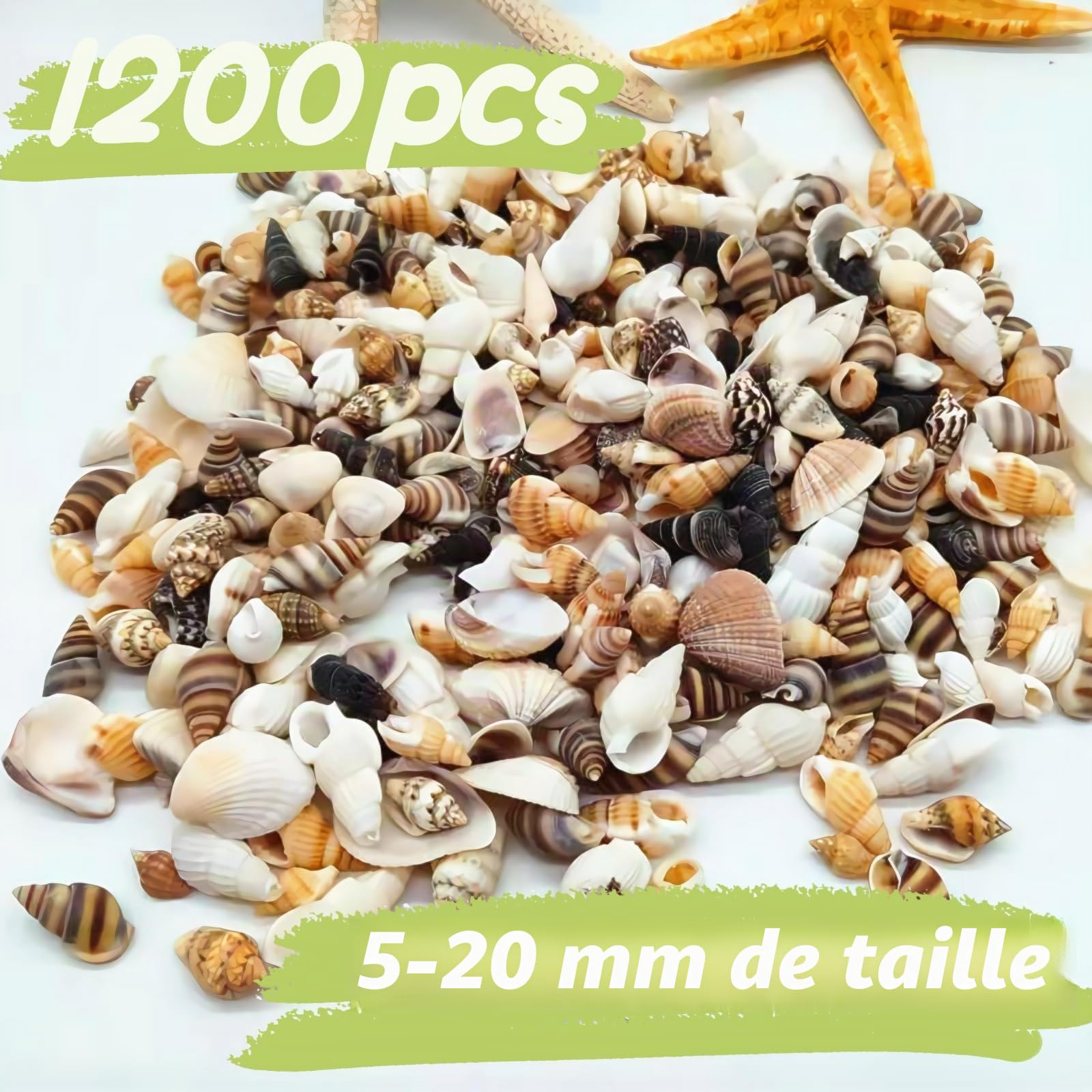 1 200 pièces petites coquillages de mer et 10 petites étoiles de mer - Mélange de coquillages de plage en spirale pour aquarium et vase, décoration de fête sur le thème de la plage
