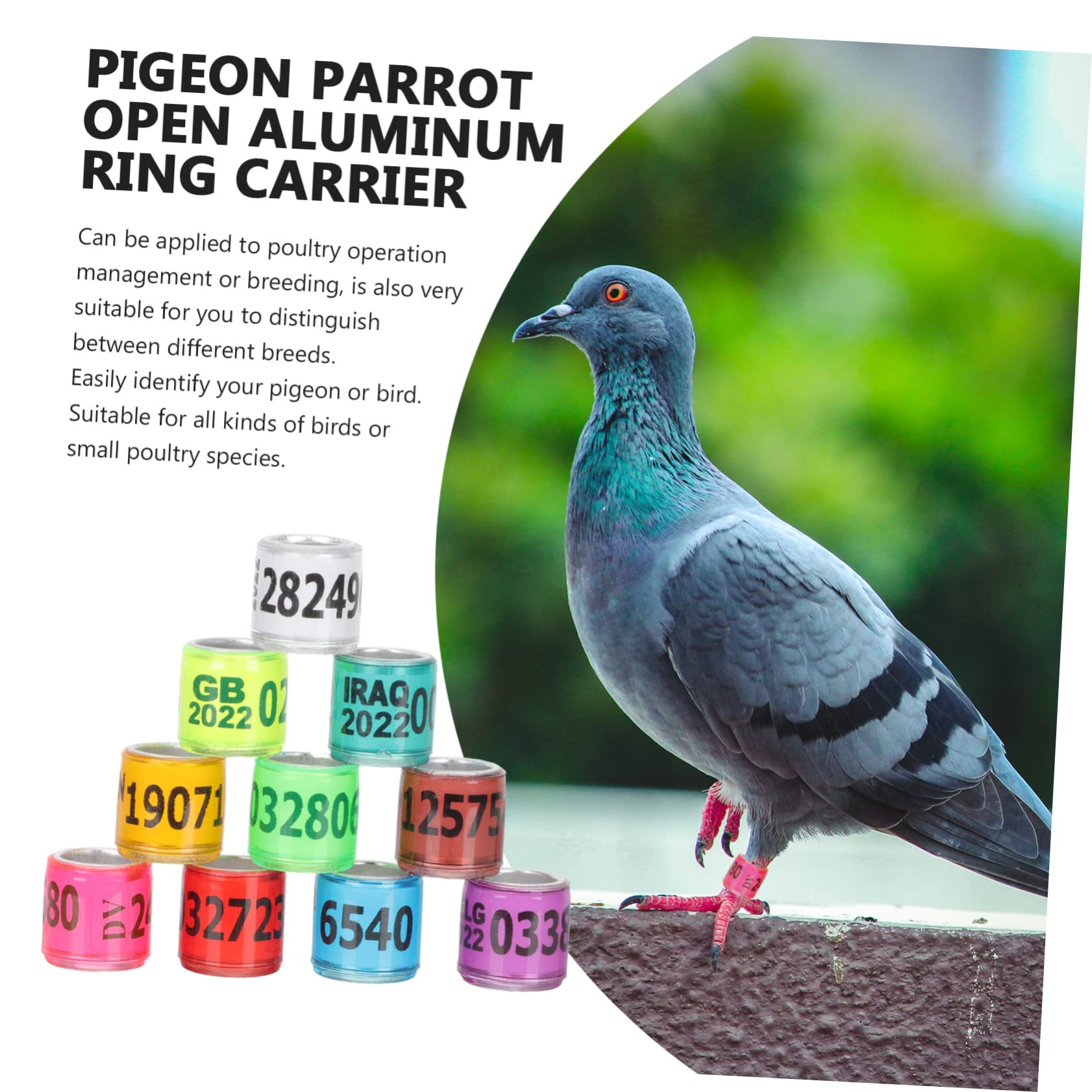 minkissy 300piezas Anillas De Identificación para De Anillas De Coloridas para Aves De Usar y Almacenar para Entrenamiento y Gestión De Aves Domésticas