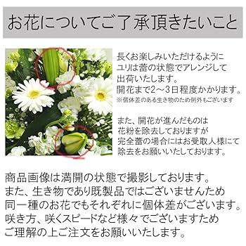 Amazon｜お供え 花 アレンジメント Condolence 生花 お花 弔事