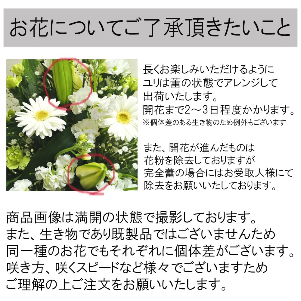 コロナ制圧祈願還元キャンペーン・掛け軸　四季花 Amazon.co.jp: 掛け軸 年中掛け 四季花 花鳥画 香泉 54.5×190cm