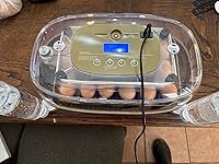 Review Image by Francisco S.