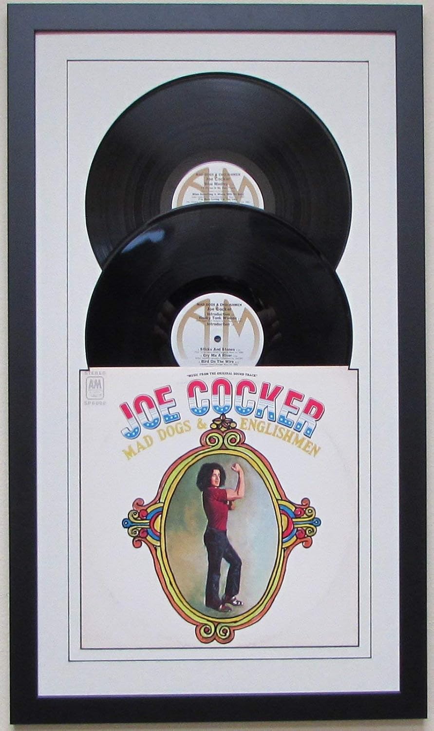 Record Album Double (2) Vinyl LP Frame Display Featuring White Matting Juke Box Style Design (Black Frame)