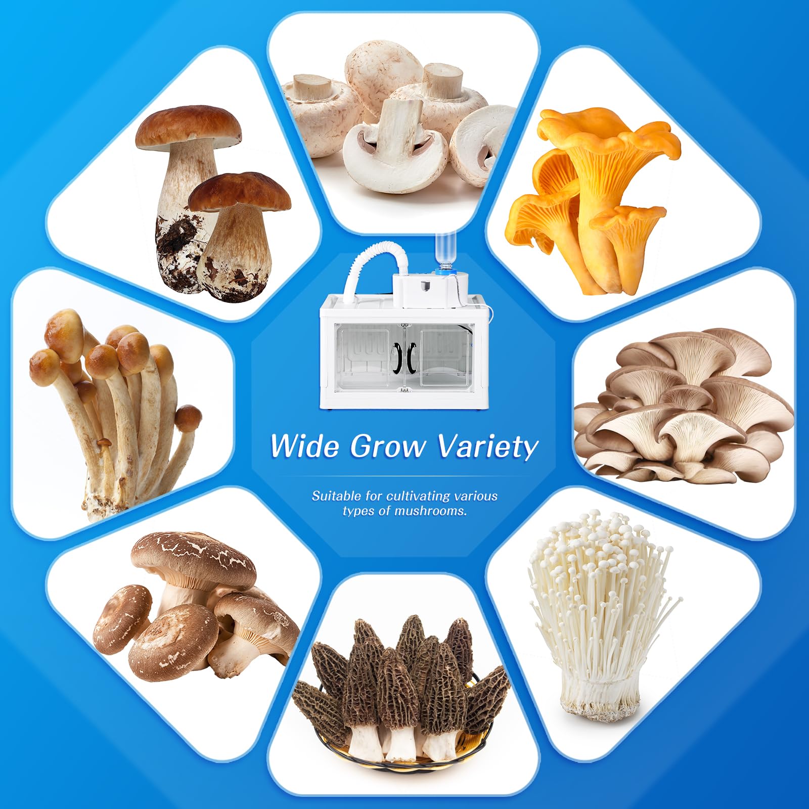 Boîte de culture de champignons avec affichage de l'humidité - Kit de pépinière de champignons - Kit de pépinière de champignons abordable pour champignons d'intérieur