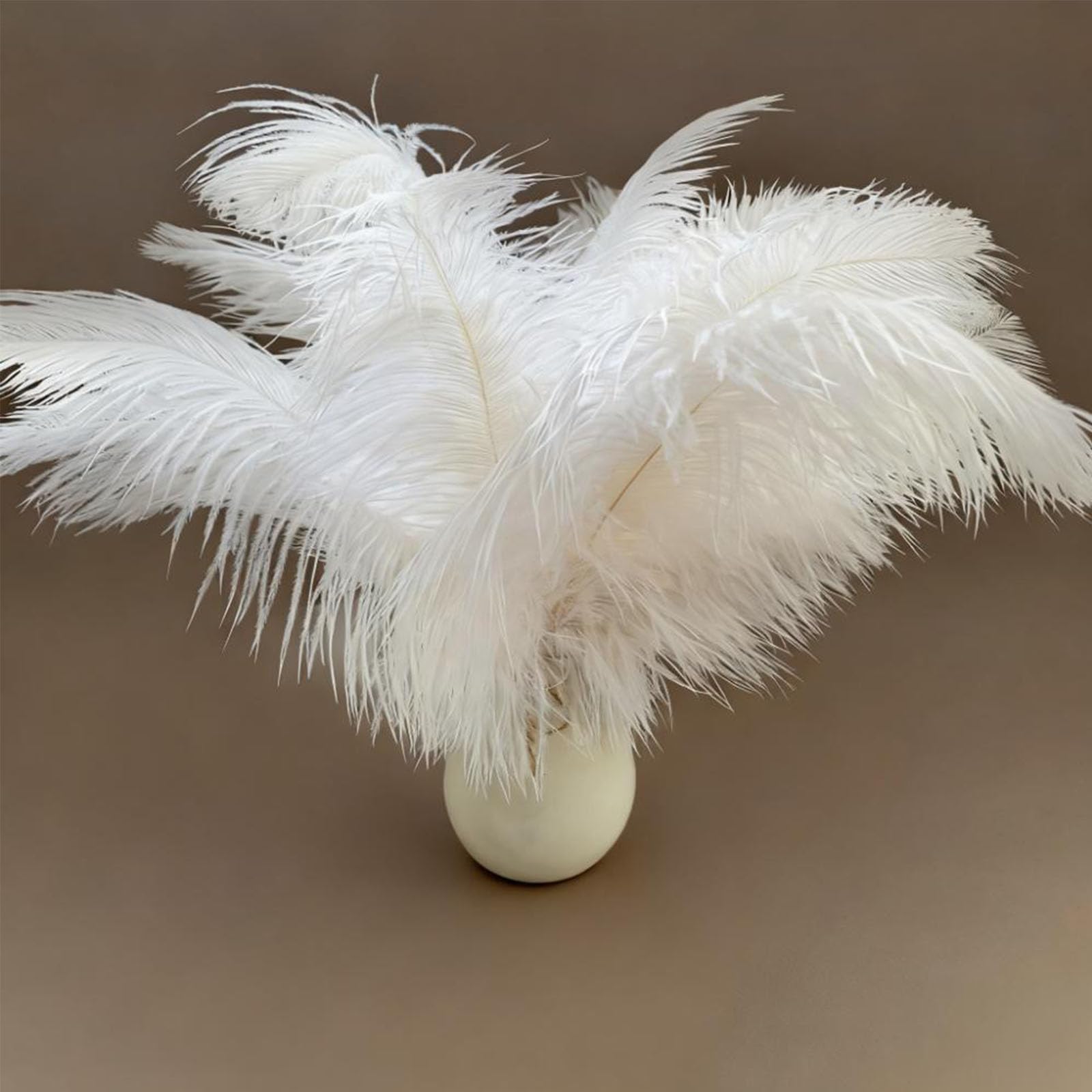 AYZDJ 10 Pcs Natural White Ostrich Feathers, 25-30cm (10-12 inch) Large Decorative Fluffy Feathers for Centerpieces, Wedding, Crafts & Christmas Tree Decor
