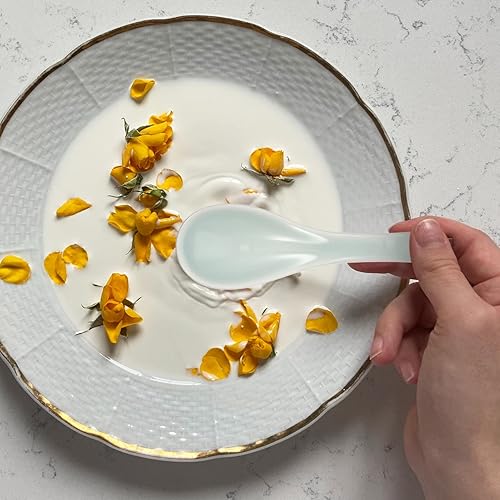 Miniatura 3 de GANAZONO Cucharas de sopa de cerámica 3 cucharas de mango corto cuchara asiática japonesa ramen won tonelada cucharas de arroz para ramen pho wonton