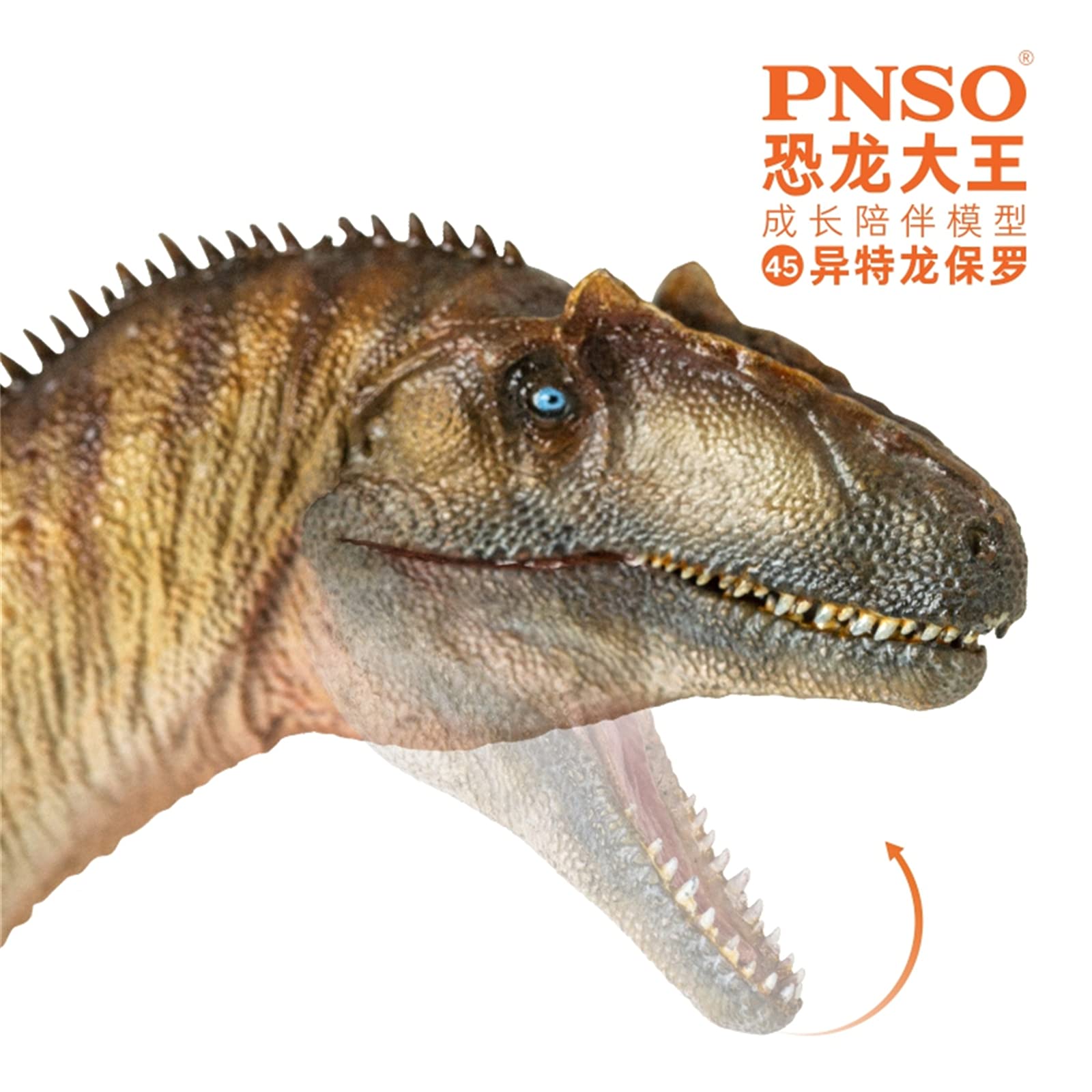 Amazon | PNSO 恐竜大王 先史時代の動物 45 アロサウルス Allosaurus