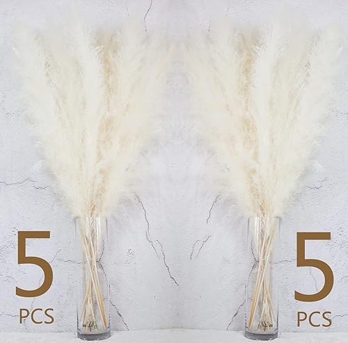 Miniatura 10 de 10 piezas de decoración de hierba de las pampas beige, pompas secas naturalmente, colas de conejo, flores secas y eucalipto seco. Perfecto para