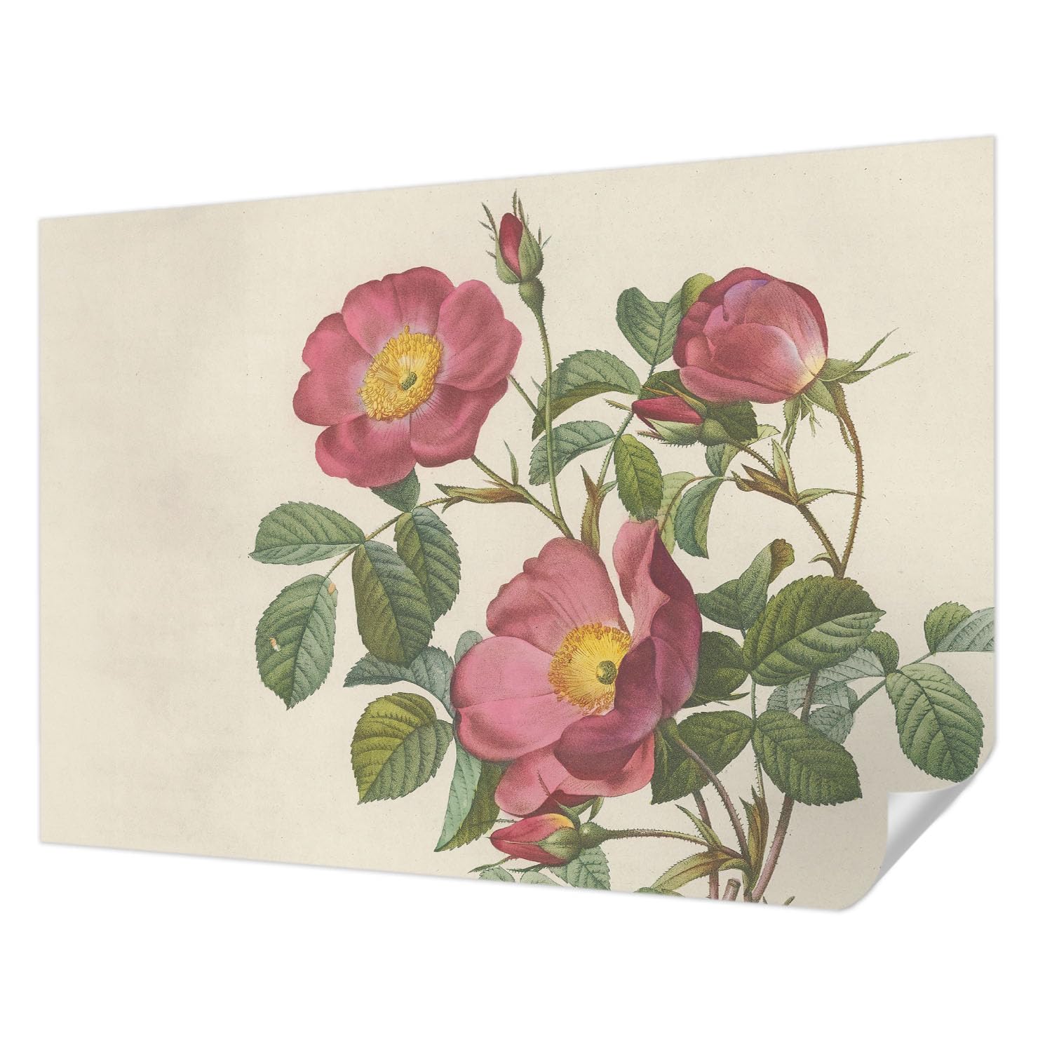Papier peint panoramique rose anti-tache pour masquer les imperfections des murs de chambre