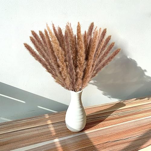 Miniatura 5 de 20 Uds. de hierba seca natural de las pampas, flores secas de 17 pulgadas, plantas de caña esponjosas para ramos de boda, arreglos florales, centro