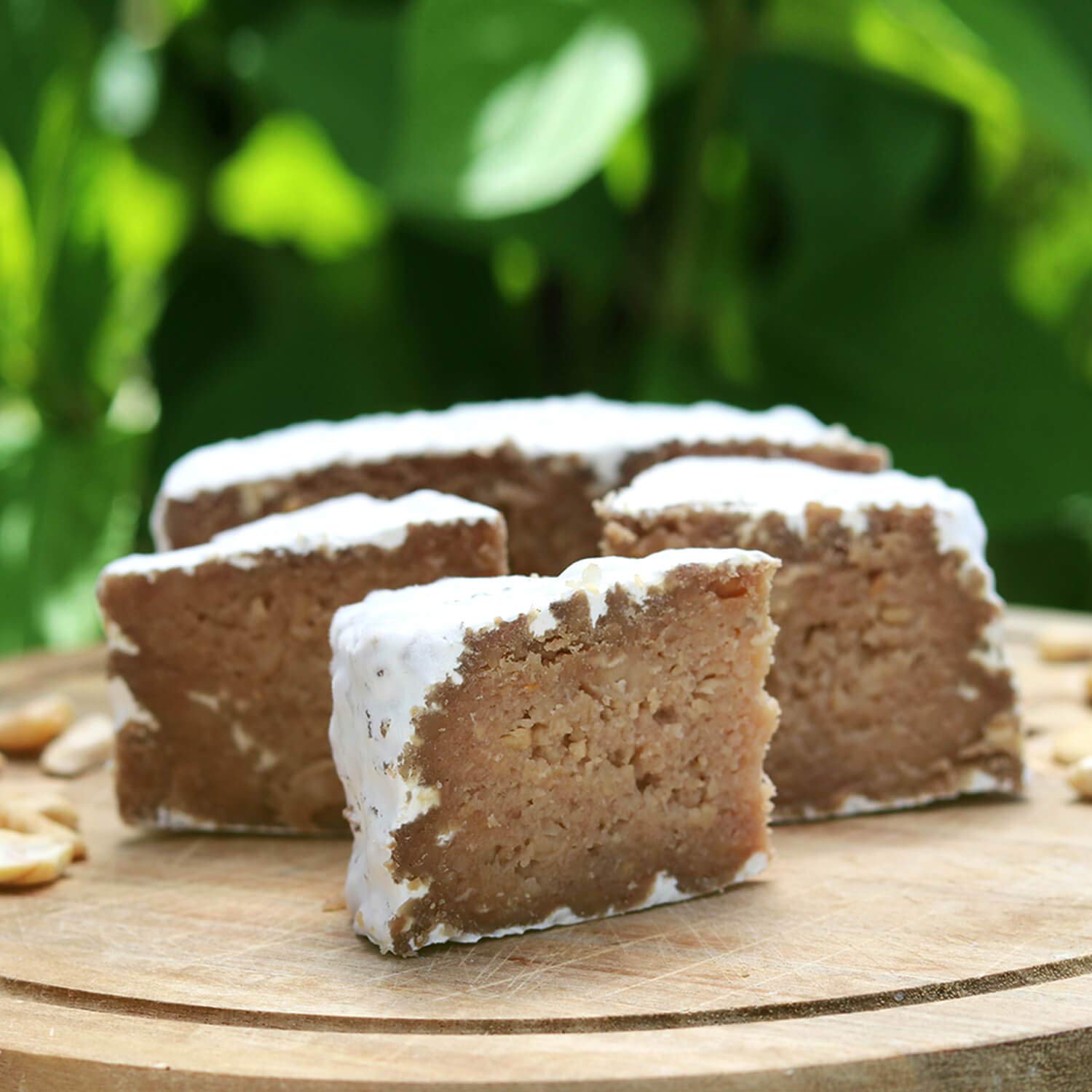 Me végétalien Meso Phile Culture – vegan pour keese, frais keese, etc.