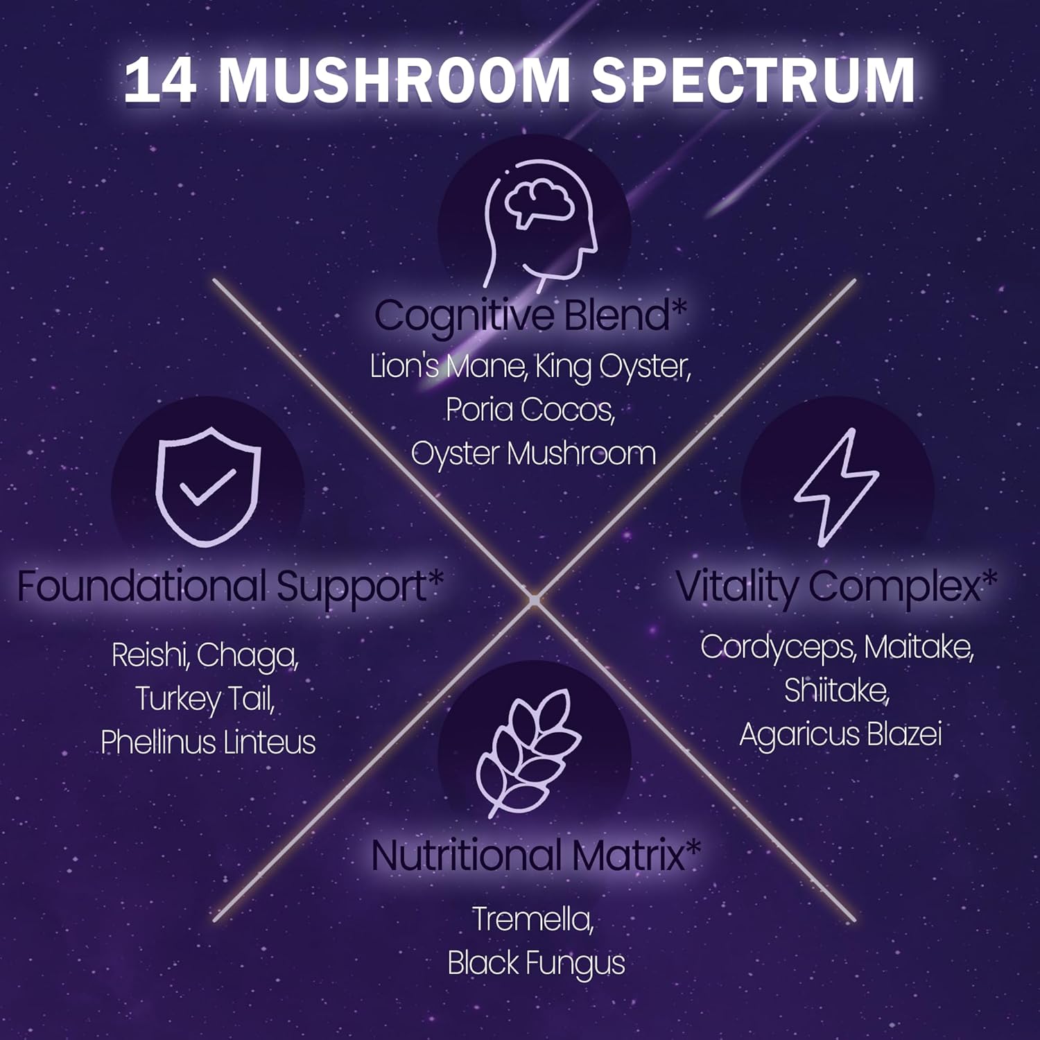 Mushroom Hot Cocoa, Melatonin-Free Natural Herbal Sleep Powder with Jujube Seed, Magnesium Glycinate, GABA, L-Theanine & 14 Mushroom Extracts | Calm, Relaxation & Immune | hot chocolate, 30 Servings - Image 4