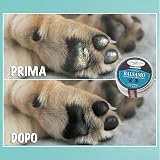 Ver la foto 7