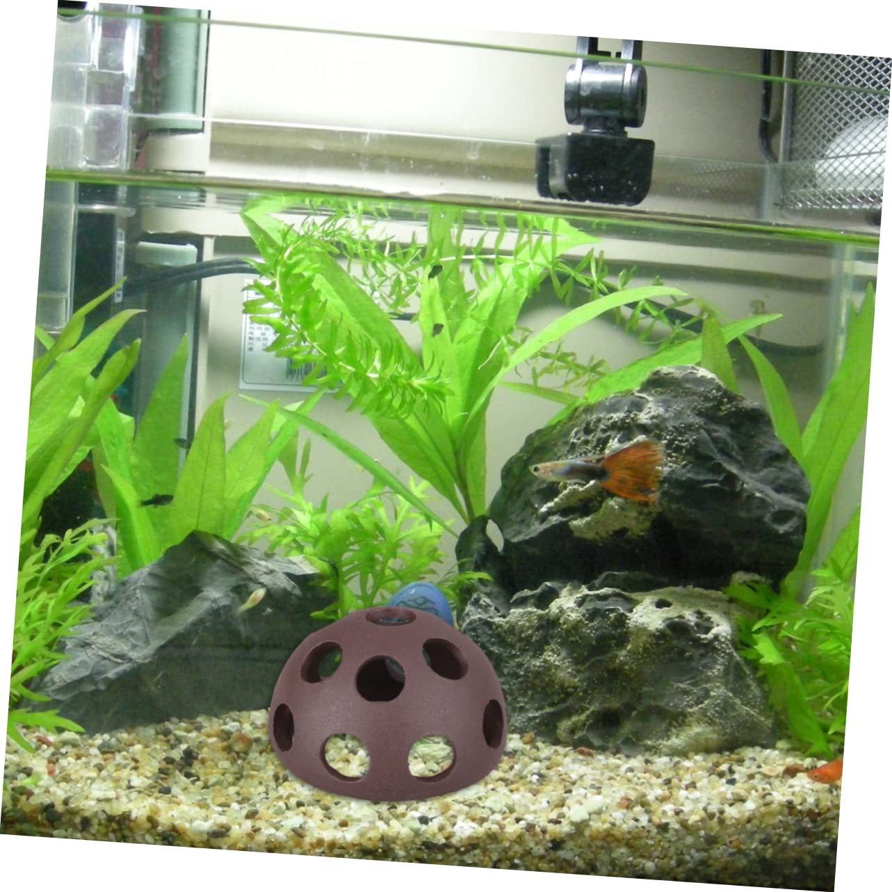 6stücke Keramische Zucht-Nester Für Garnelen Und Fische Poröse Halbkugeln Für Aquarien Für Aufzucht Unterschlupf Robuste Tontöpfe Für Unterwasser-Dekoration
