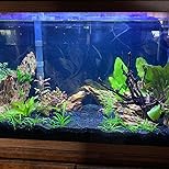 Customer Image, click to open customer review