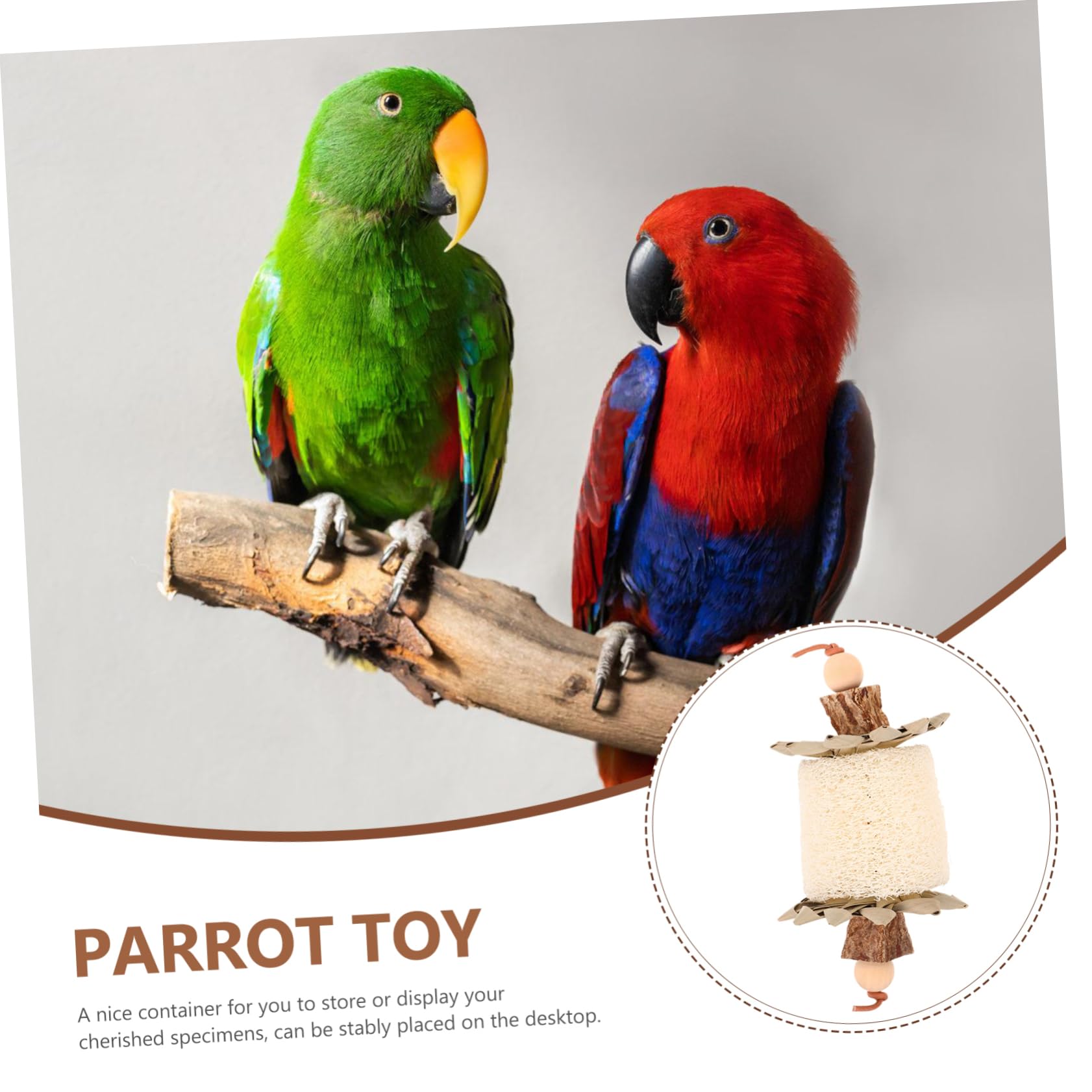 TOYANDONA Jouet à Mâcher pour Perroquet, Attrait Visuel, Décoration Maison