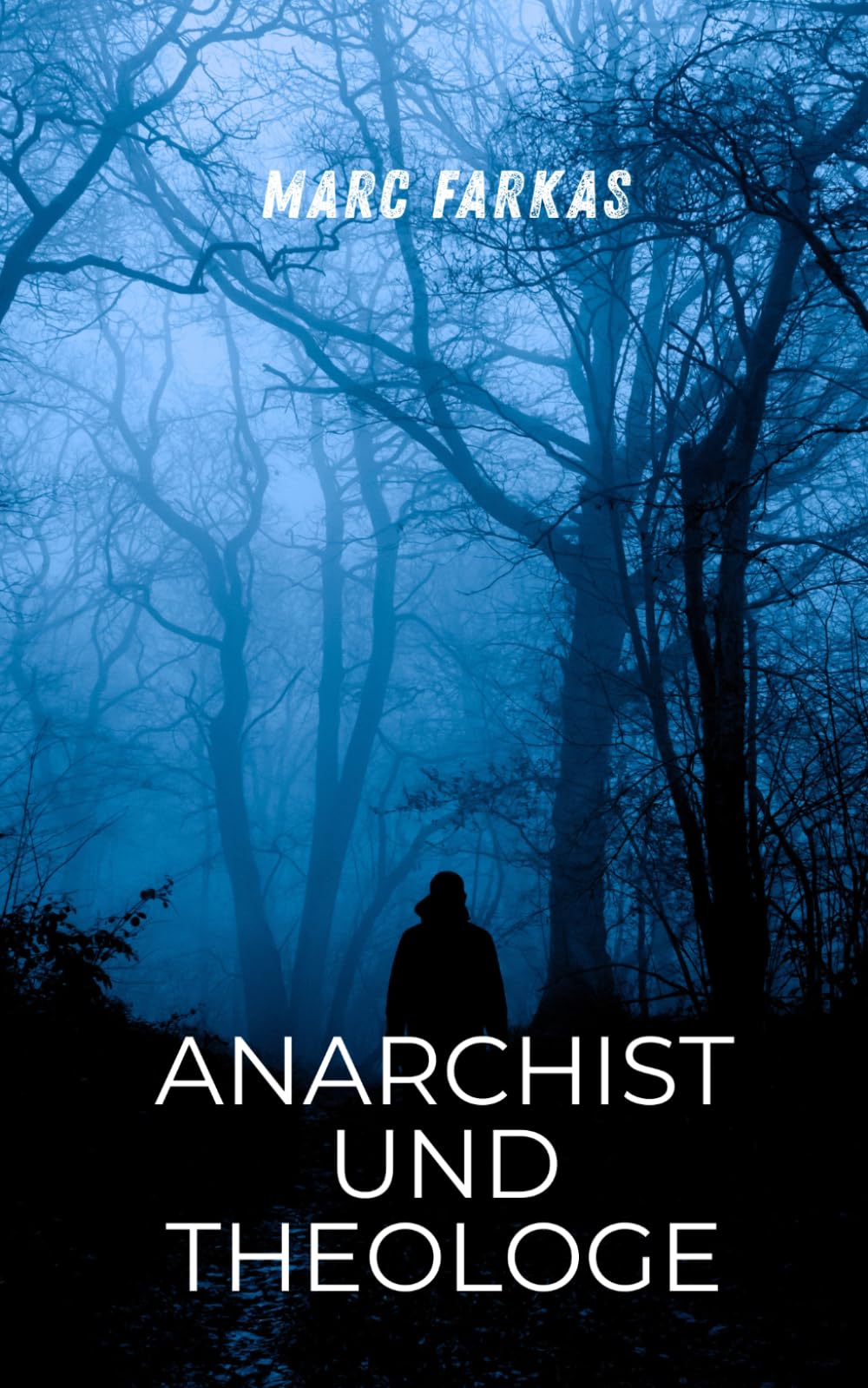 Anarchist und Theologe (Krenglbach-Bücher)