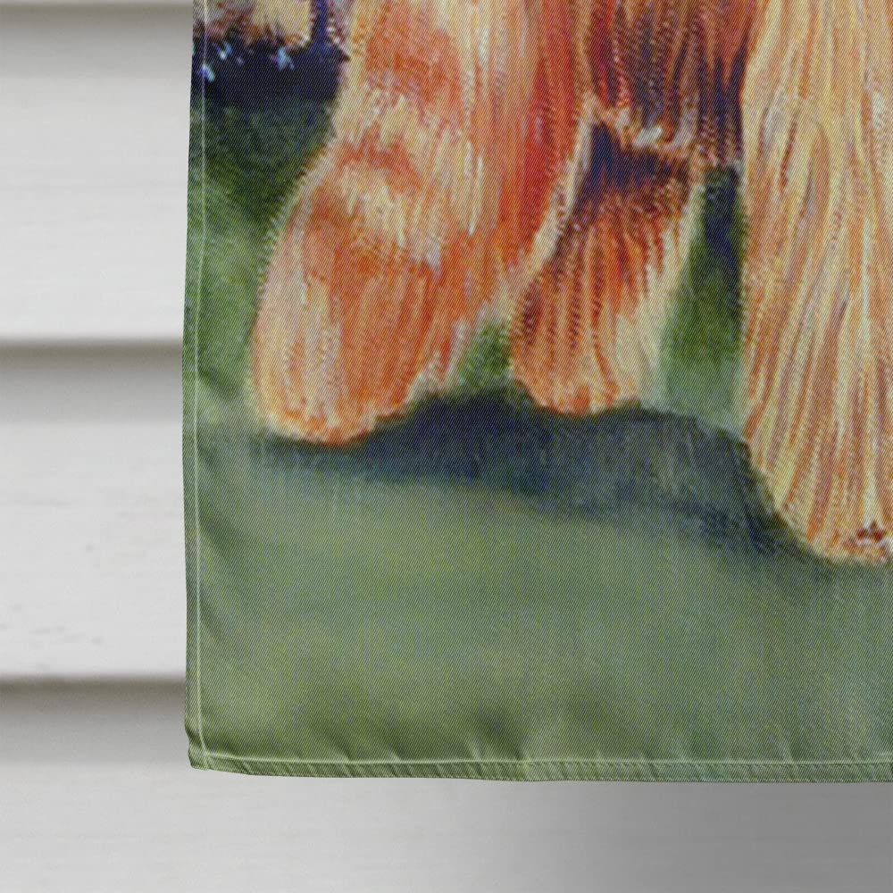Bandiera Da Giardino Briard Con Razza Briard – Doppia Faccia, Resistente Alle Intemperie, 28x38 Cm - 4
