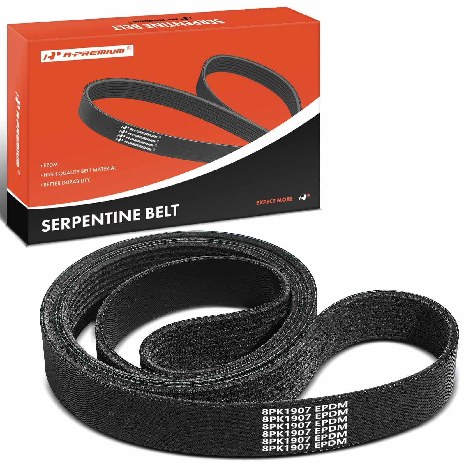Correa de transmisión serpentina de motor 75.08" para Ford Mustang 2003-2004 8