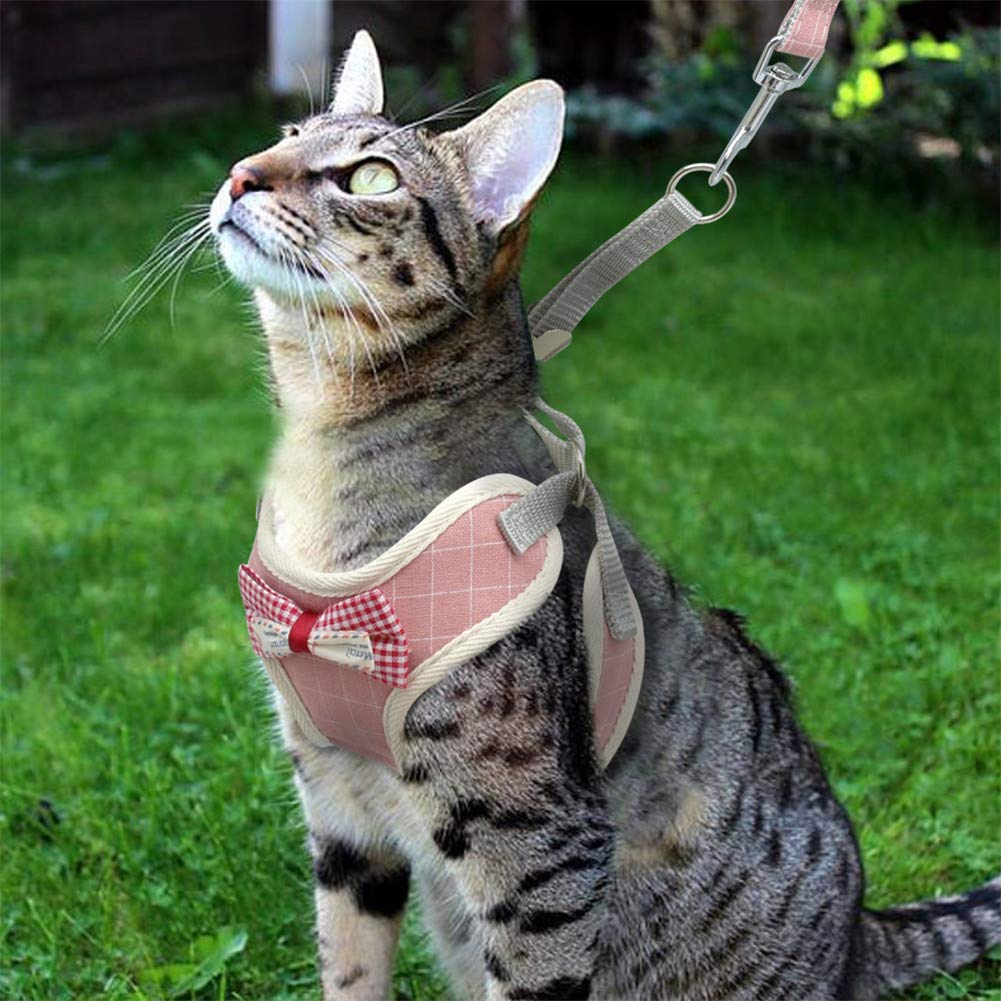 SOCHII Ensemble harnais et laisse pour chat - En maille de nylon - Pour petits chats, chiens, chatons - 5 S