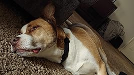 Review Image by Amazon Customer