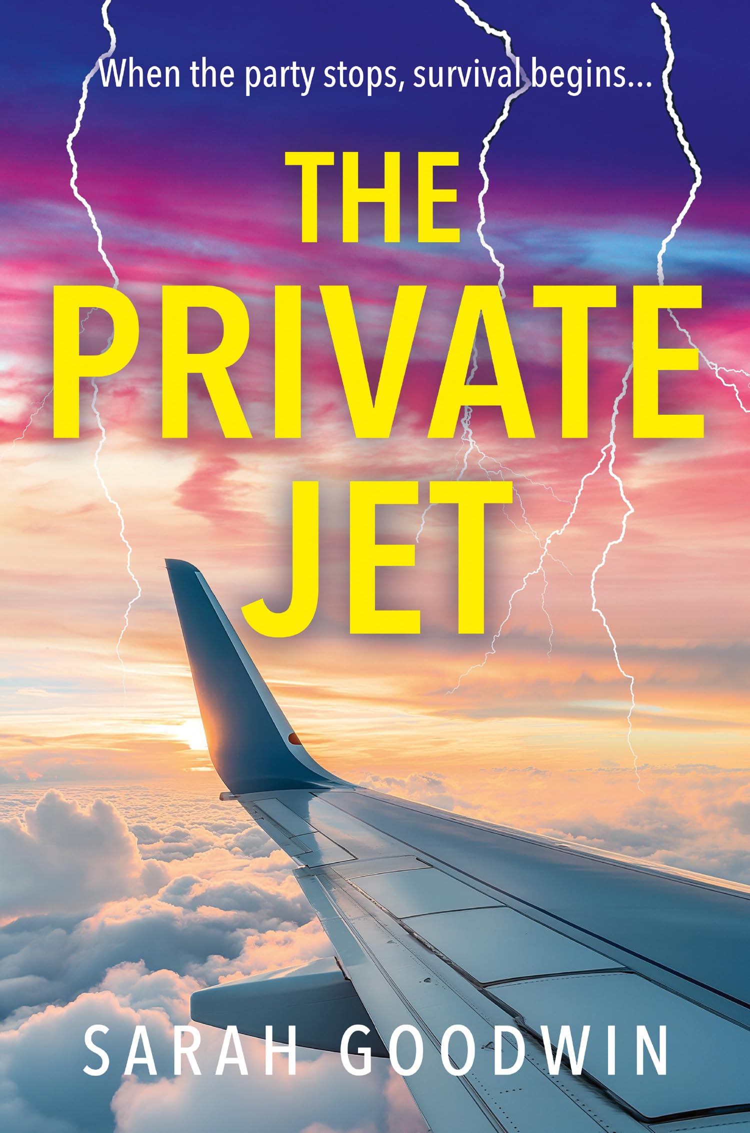 The Private Jet: Don’t miss the best BRAND NEW psychological thriller of 2025 from the author of STRANDED, perfect for fans of The White Lotus!: Book 7 (The Thriller Collection)