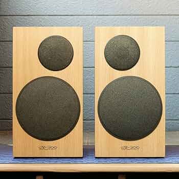 Victor SX-300 リファインスピーカー Victor SX-300 リファインスピーカー