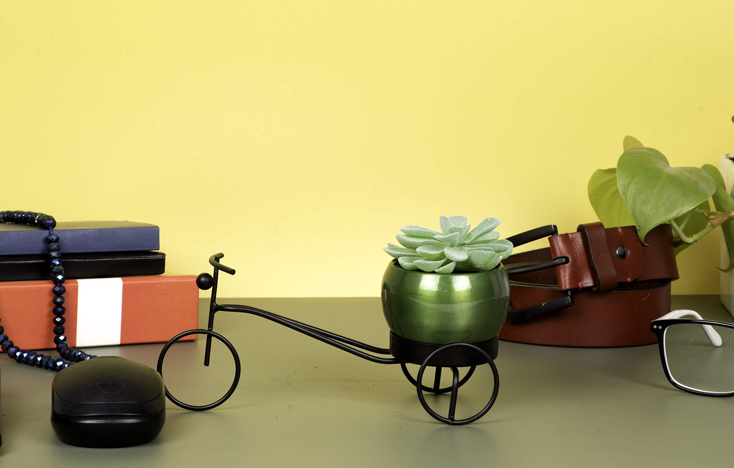 HINS Black Cycle Riksha With Shiny Metal Round Shape Flower Plant Pot For Indoor Plants (Green, Small) Metal Pots For Indoor Plants I Elevated Garden Planter I Raised Planter I Desk Plant I Raised Planter Box I Ascent Homes Metal Planter I Raised Pla (B08X12R8HS) Amazon Price History, Amazon Price Tracker