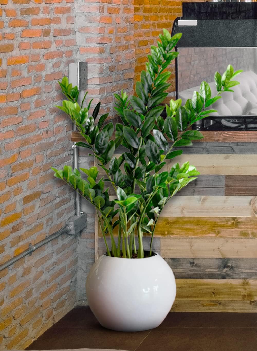 Serene Spaces Living Artificial ZZ Plant in Plastic Black Pot, Potted Zamioculcas Zamiifolia Plant, Low Light Houseplant for Living Room, Bedroom, Kitchen, Office, Patio, 17 Diameter  42 Tall