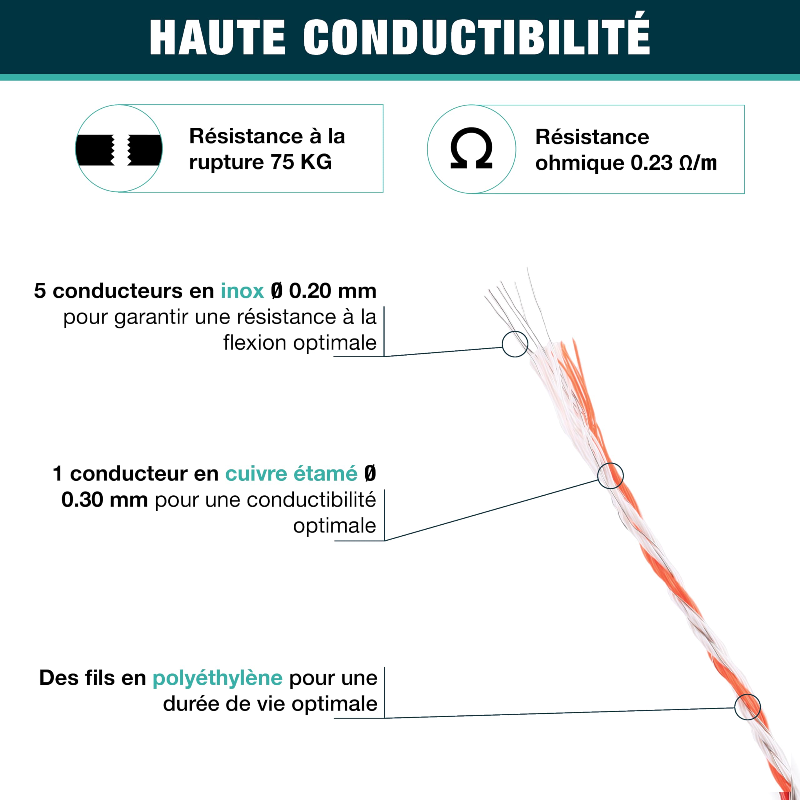 Kit Clôture Électrique Complet – Cordon 3 mm 200 m + 10 Piquets Plastique 87 cm – Haute Conductivité – Pour Chevaux, Moutons, Chèvres, Bovins