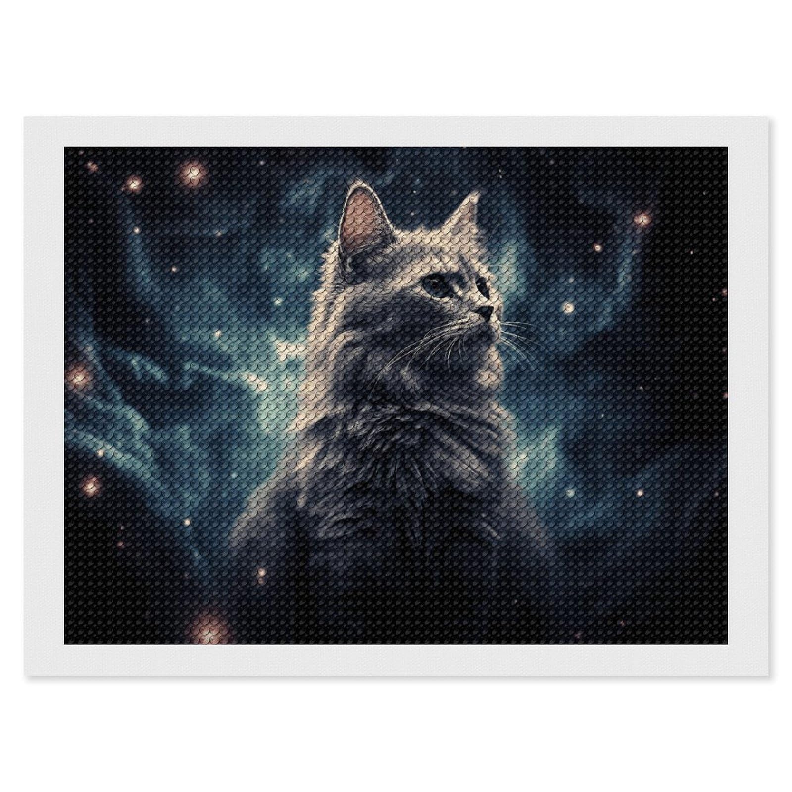 NONHAI Diamond Painting Kits for Adults - DIY Diamond Art Kits for Beginners - Full 5D Paint Drill Diamond Dots Paintings- A Cat in A Nebula Diamonds Pictures Gem Art and Craft Wall Decor 12"x16"
