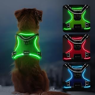 MASBRILL Leuchtendes Hundegeschirr, LED-Hundegeschirr wiederaufladbar, verstellbar & reflektierend, Grün, M