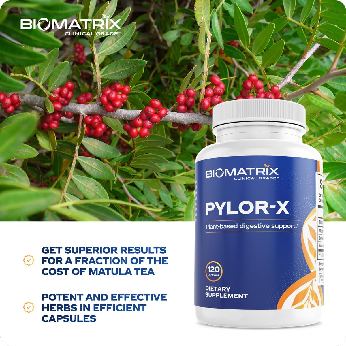 BioMatrix Pylor-X Gut Health Supplement – Mastic Gum, Berberine, Zinc Carnosine & Bismuth Salts for Gastric Support, Digestive Comfort, Stomach Lining Protection - (120 Capsules) 30-60 Day Supply - Image 5