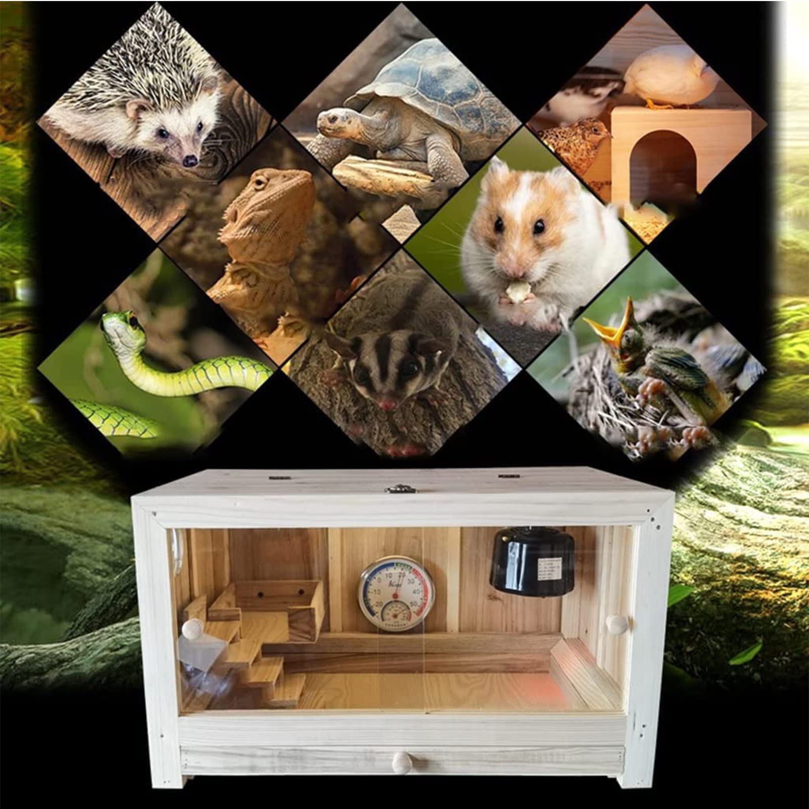 Wooden Reptile Breeding Box, Temperature-Controlled Climbing Pet
