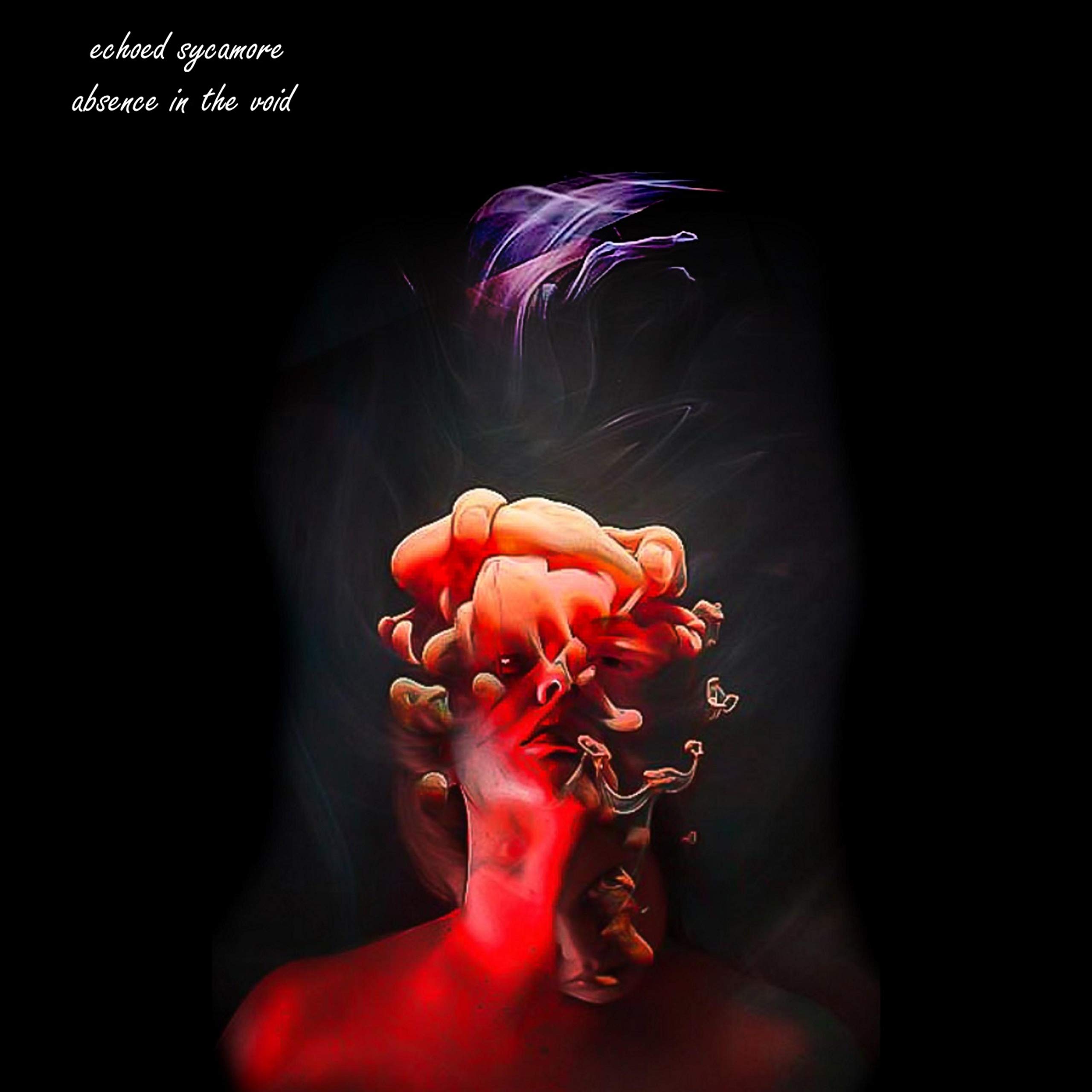 Echoed Sycamore