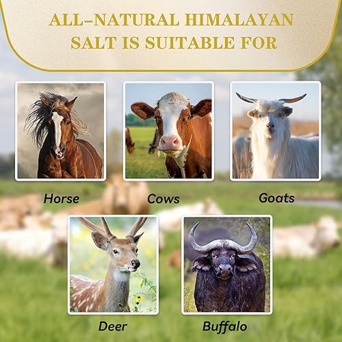 Miniatura 13 de Paquete de 2 unidades de sal del Himalaya lamiendo minerales naturales en cuerda para caballos, ganados, ciervos, cabras y otros ganados, de larga