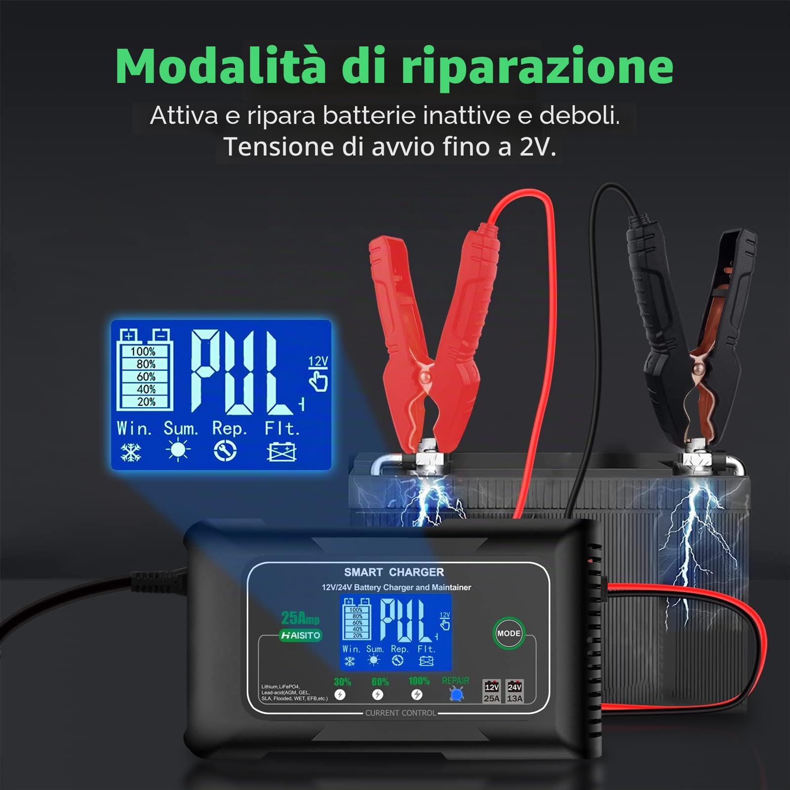 Haisito Carica Batterie per Auto 12V/24V 25A, Caricabatterie Auto Intelligente Caricabatteria e Mantenitore Moto Portatile per Batterie al Litio, LiFePO4, Piombo-acido(AGM, GEL, EFB, SLA, VRLA)