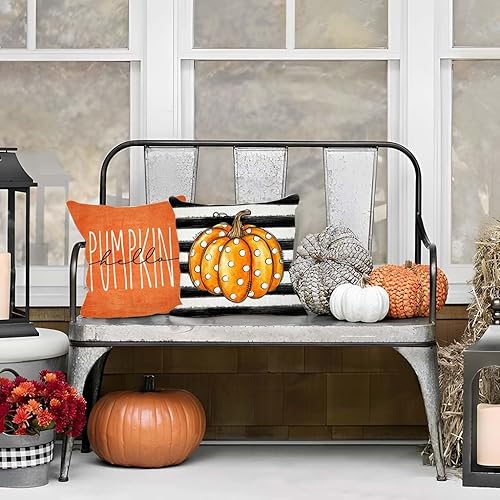 Miniatura 5 de PANDICORN Juego de 2 fundas de almohada de otoño de 12 x 20 pulgadas, diseño de búfalo negro con diseño de calabaza de Hello Pumpkin para