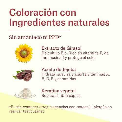 Miniatura 4 de Tinte permanente para el cabello, color permanente para el cabello. Sin color, sin amoníaco, resorcinol, parabenos o PDD. (4 cabellos castaños)