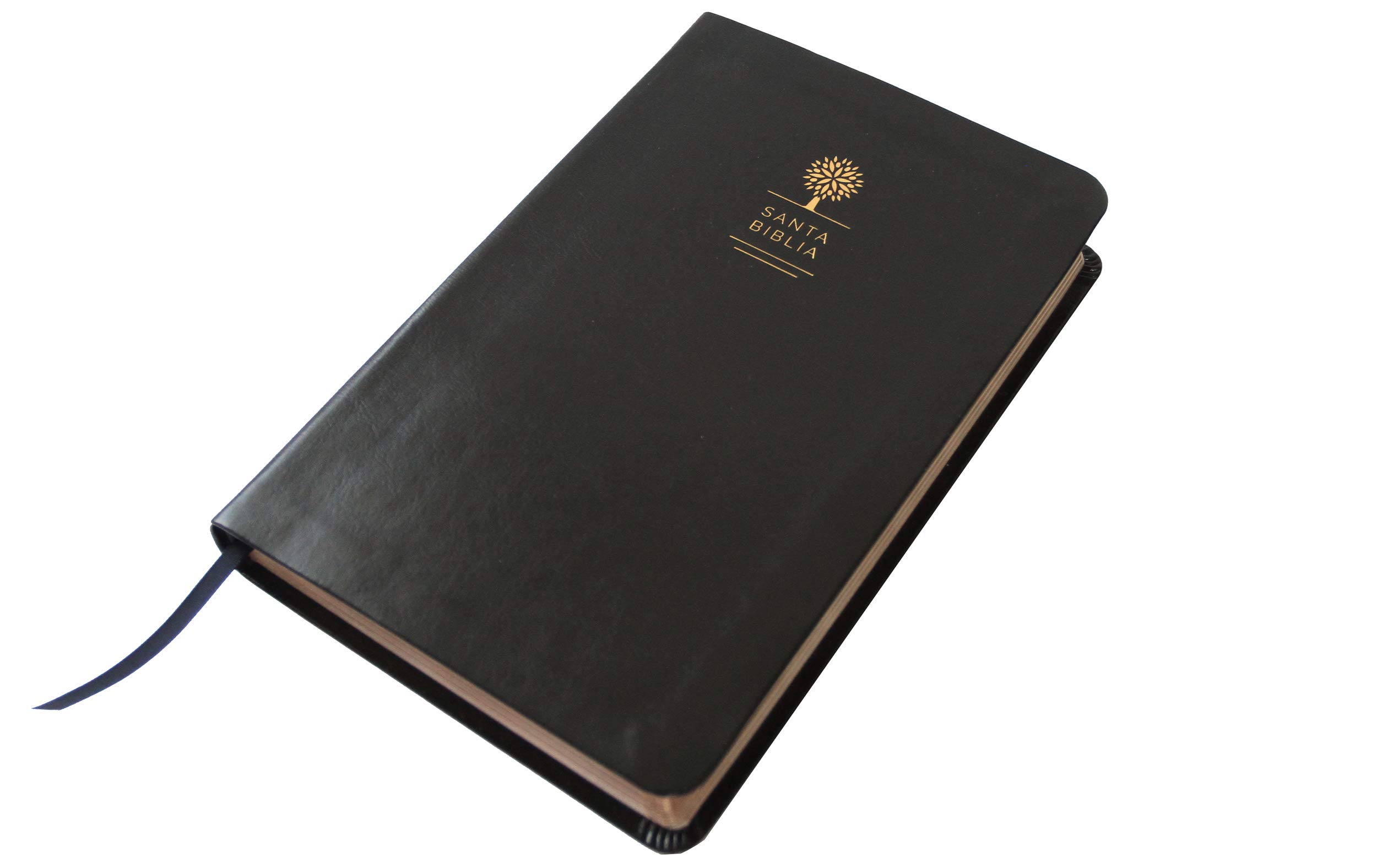 Biblia Reina Valera 1960 letra grande. Símil piel color negro, tamaño manual / Spanish Holy Bible RVR 1960. Handy Size, Large Print, Black Leathersoft