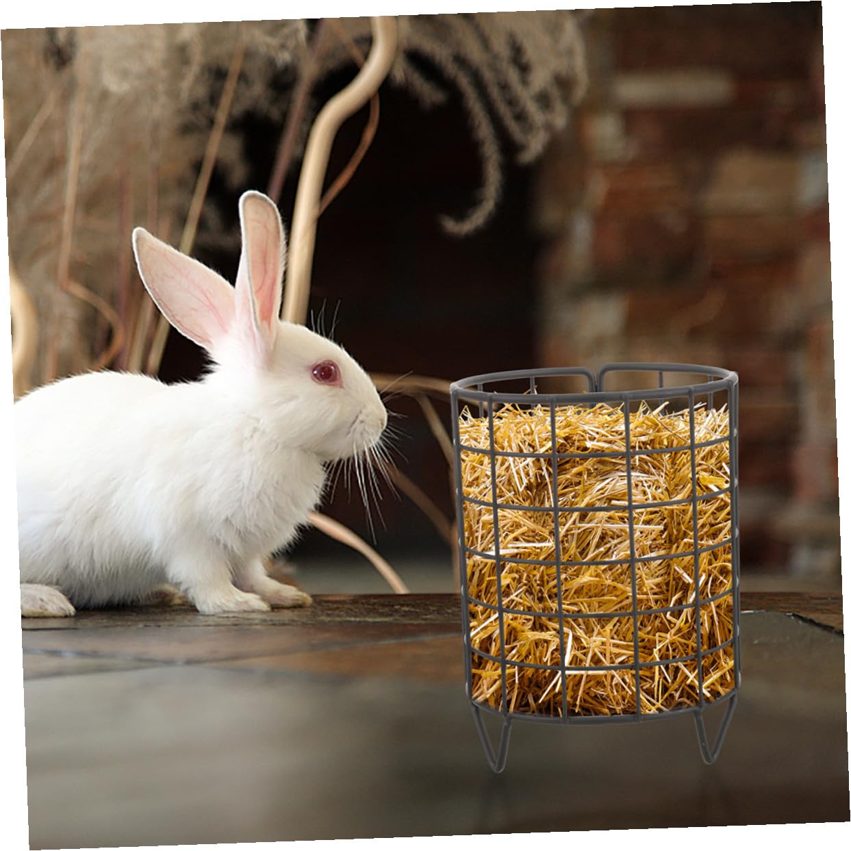 SHINEOFI Mangeoire à Foin Lot de 2 Pièces pour Lapins et Chinchillas pour Garder la Nourriture Propre en Fer Noir Résistante à l'usure, Minimise Le Gaspillage
