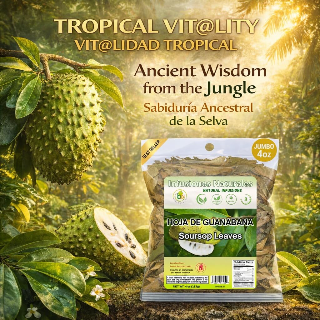 Guanábana Hojas (Soursop Leaves Tea) – Jumbo 4 oz – 100% Natural, Vegan, Non-GMO, Wildcrafted & Authentic – Caffeine-Free Herbal Tea – Makes 30+ Cups - Image 2