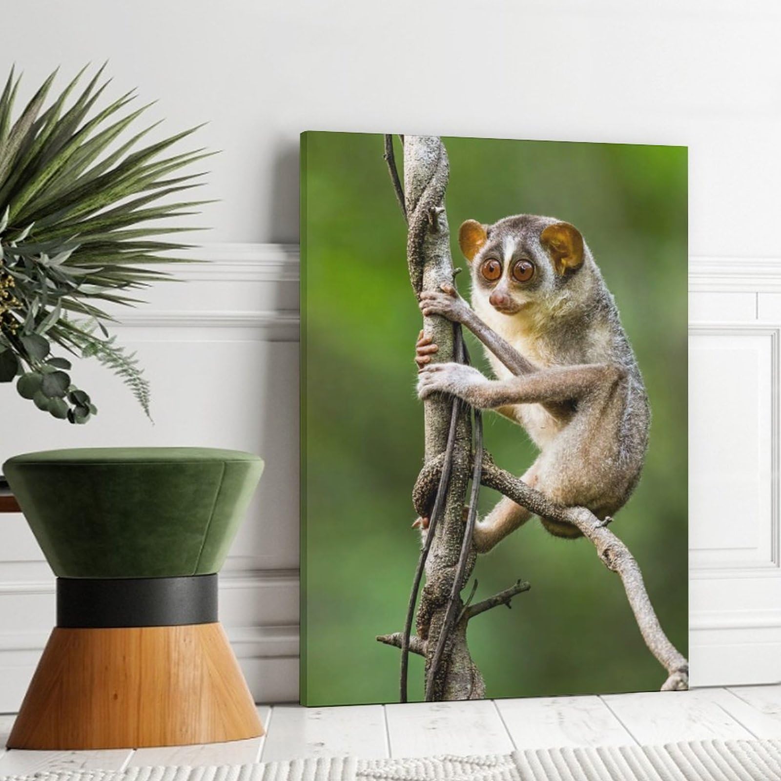 Primate Forest - 森アートポスター A1 Amazon.com: Tropical Arboreal Primate Animal Big Eye Cute Tarsier