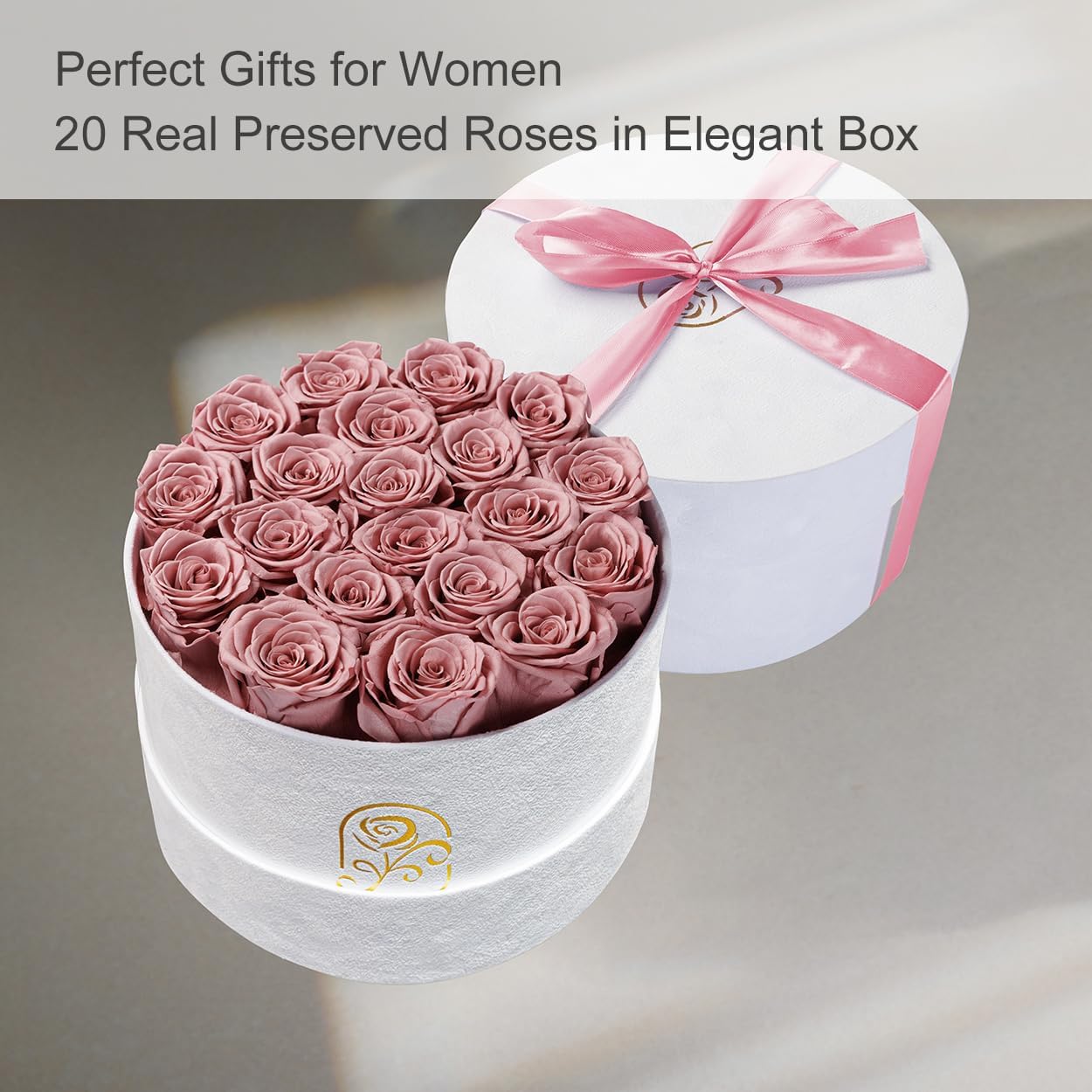 Gifts for Women Preserved Roses Flower Box, Luxury Velvet Box with 20 Roses, Preserved Flowers, Romantic Gift for Her, Wife, Girlfriend, Birthday Anniversary Christmas (Dusty Pink)