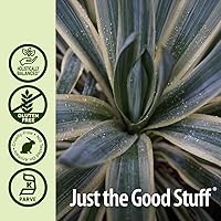 Vista 5 de Nature's Answer Suplemento de extracto de raíz de yuca con alcohol orgánico, 1 onza líquida Apoya la función inmunológica Promueve el bienestar*