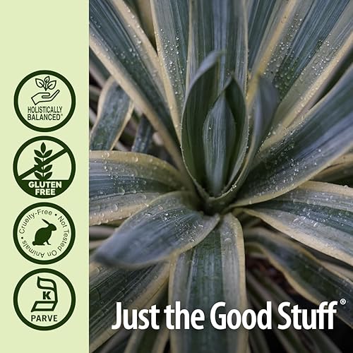 Miniatura 5 de Nature's Answer Suplemento de extracto de raíz de yuca con alcohol orgánico, 1 onza líquida Apoya la función inmunológica Promueve el bienestar*