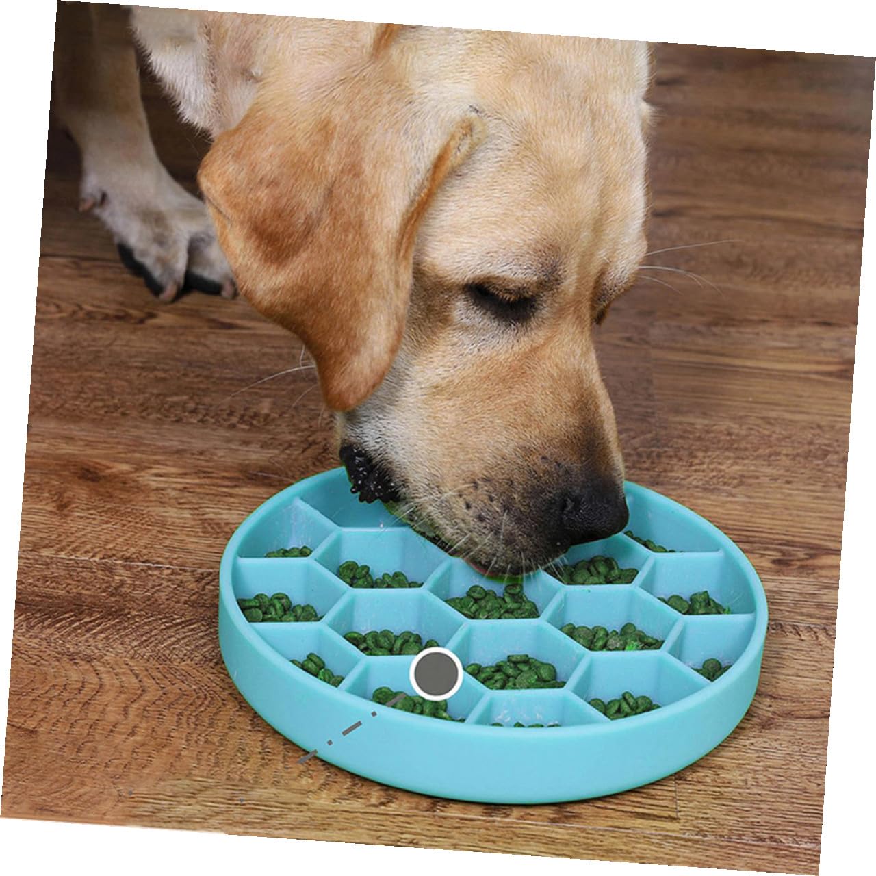 Comedero Lento para Perros Anti-Asfixia Ventosa de Silicona Resistente Tamaño Mediano Azul para Alimentación Controlada y Viajes para Perros Adultos