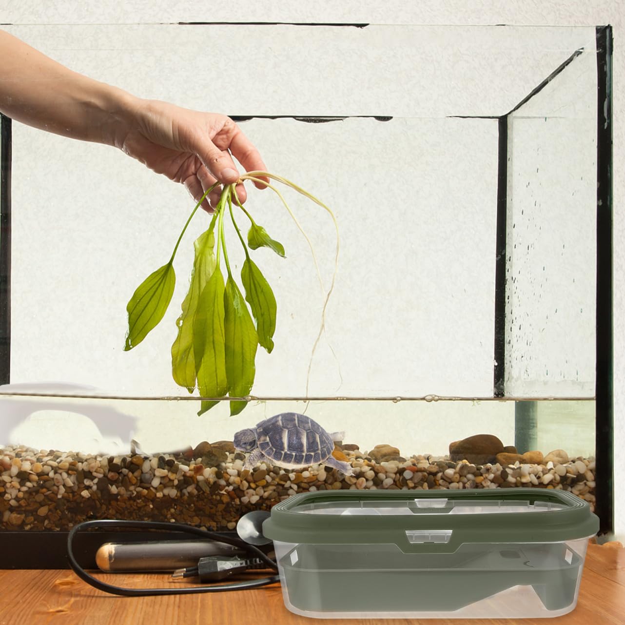 Hemobllo Vasca per Tartarughe con Piattaforma, Plastica, Verde | Uso Domestico, Facile da Pulire, Design Creativo, per Tartaruga Acquatica e Tartaruga, Categoria Terrari