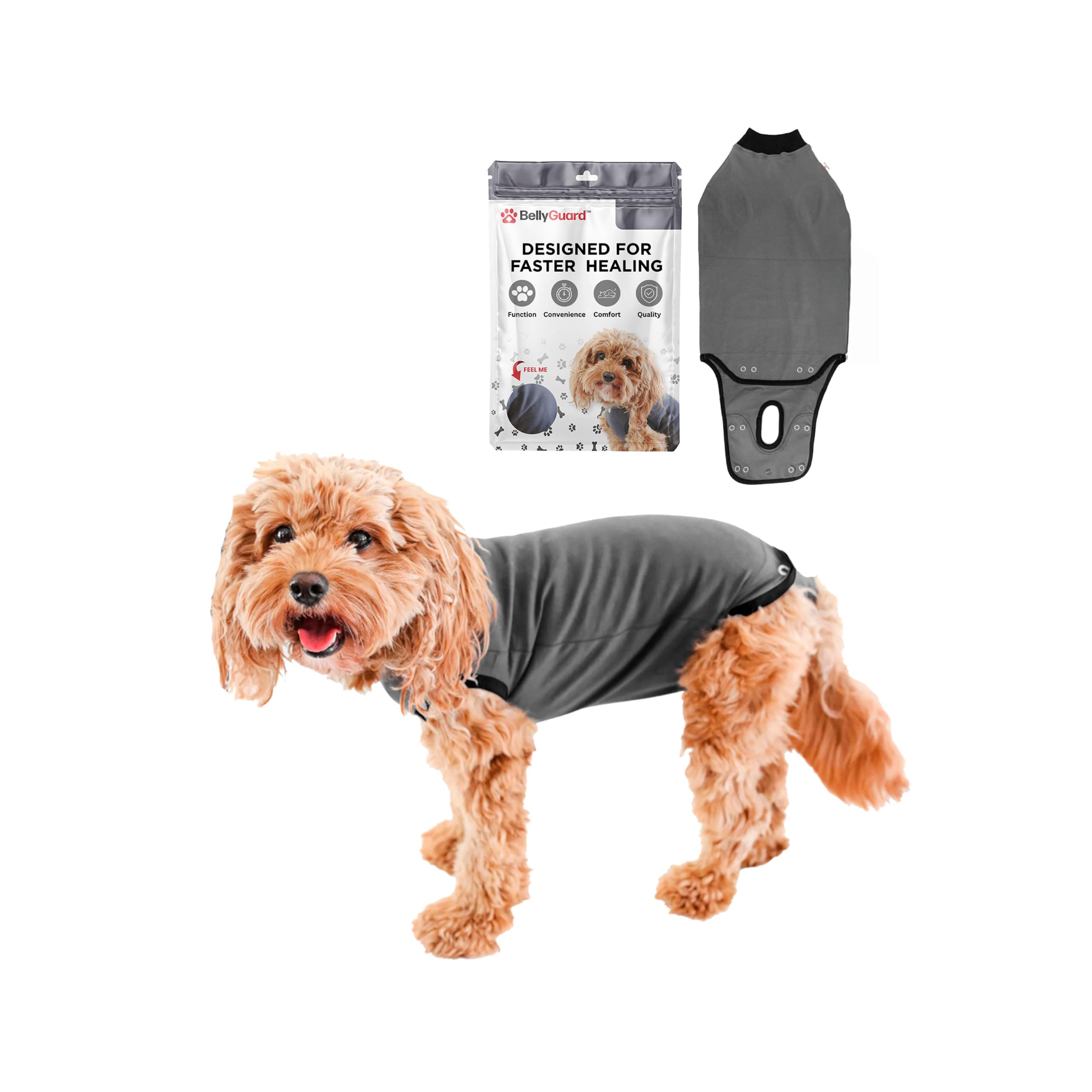 BellyGuard Dog Surgery Recovery Suit, Male Female After Spay Neuter Onesie