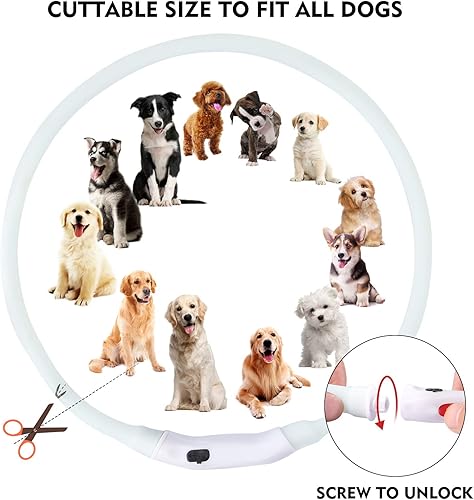 Miniatura 6 de NOVKIN Collar LED para perro, collar de perro recargable RGB que cambia de color, luces impermeables para perros que hacen que la mascota sea